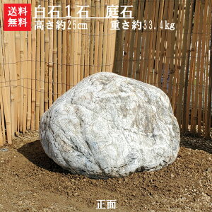 yzg̔1΁y΁zi΂ɂł傤OO