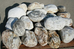 yzyszΓyߐ΁ygBIGTCYh20΃Zbgző傫΂܂܂Ă܂OOyK[fjOށzy΁zyΔ̔z