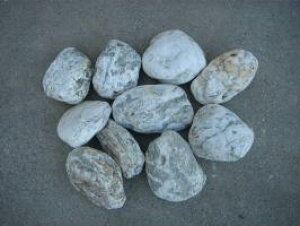 【送料無料】阿波の白石土留め石【お試し10石セット】お庭のアクセントや土留めに♪玉砂利とのしきりに・・・白石・庭石のことなら当店におまかせ^^【ガーデニング資材】【庭石】【