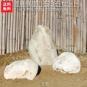 yz3SETy1zy΁zyR΁zyzybNK[fz