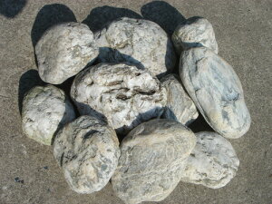 yzyszg̔Γyߐ΁ygBIGTCYh10΃ZbgzʏZbg̑傫߂̃TCY10΃ZbgɂĂ܂IIyK[fjOށzy΁zyΔ̔z