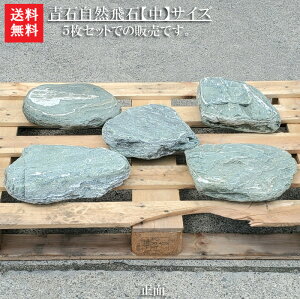 【送料無料】【代引不可】【飛び石】青石の自然飛石5枚セット【中】サイズ青石を使った自然飛石です^^自然石のよさをお楽しみ下さい。【ガーデニング資材】【飛石】【青石】