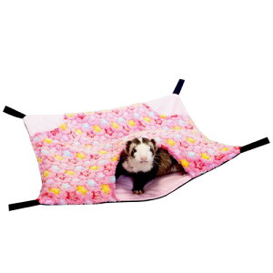 {ÃX[|PbgFsN / tFbg nbN ~p 傫߃TCY C{[