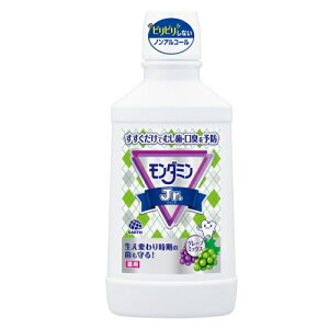 w mAR[ t A[X / _~Jr. O[v~bNX 600mly򕔊Oiz