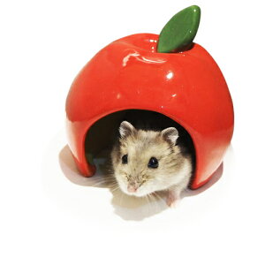 WKÃJth[ F  / WKAnX^[ ^nX^[  nEX