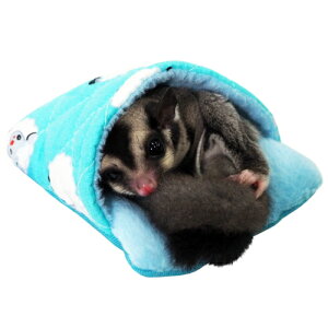 WKÃv`QԂFu[ / nX^[ K  nbN