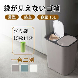 ゴミ箱 分別 くず入れ 屑入れ 室内 角型 おしゃれ コンパクト ふた付き シンプル リビング キッチン ごみ箱 おしゃれ キッチン ふた付き　密閉 音無し