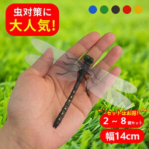 Ij}  14cm ɂ tBMA St A g{ 悯 ΍ Sst ނRo Lbv O 悯͌^  Q u[` Lv x_ ƒ؉ 