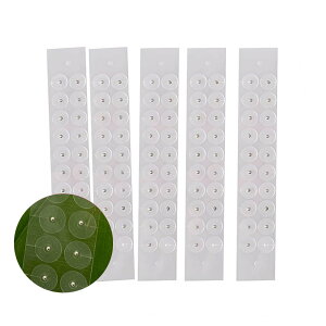 yő2000~OFFN[|10/30܂ŁzڃV[ ڃWG[ fB[X AM[Ή XeX p S[h/Vo[ 300/500