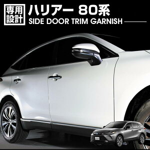 nA[ 80n 2020(R2).6 - TChhAgK[jbV N[ Vo[ J[{ JX^ hXAbv J[p[c J[pi O GNXeA 