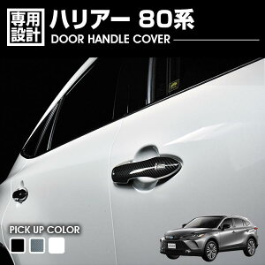 nA[ 80n 2020(R2).6 - hAnhJo[ ubN J[{ zCgp[ JX^ J[p[c hXAbv GNXeA J[pi ANZT[