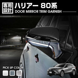 nA[ 80n 2020(R2).6 - hA~[gK[jbV N[bL Vo[ J[{ JX^ hXAbv J[p[c J[pi GNXeA 