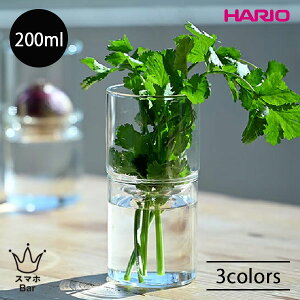 HARIO KX̉Ԋ GK-200 ԕr 200ml ϔMKX NA  ubN Ao[ A  k͔| A n[u KX̂鐶 G nI Mtg v[g