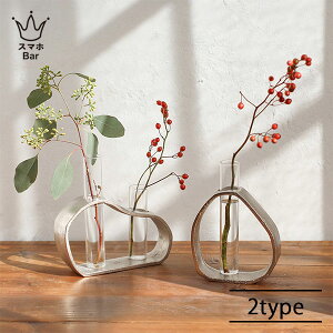 santolina [Tgi] A~KXx[X I[o gCAO ԕr NA  Vo[ t[x[X  ֑} Ԋ NG Creer CeA G Mtg v[g