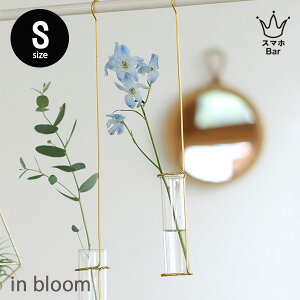 inbloom [Cu[] nMOt[x[X STCY ԕr A~ ACA t[x[X  ֑} Vo[ Ԋ NG Creer CeA G Mtg v[g