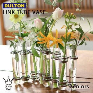 DULTON LINK TUBE VASE CH03-V76 N `[u x[X ԕr KX   A j[N  tHgWFjbN CX^f G _g Mtg v[g