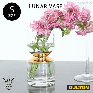 DULTON LUNAR VASE S K865-1031S [i[ ׁ[X Ԋ ԕr KX  A Lh  tHgWFjbN CX^f G _g Mtg v[g