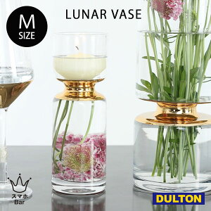 DULTON LUNAR VASE M K865-1031M [i[ ׁ[X Ԋ ԕr KX  A Lh  tHgWFjbN CX^f G _g Mtg v[g
