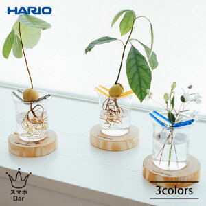 HARIO RELAXING ӂ̃nbN MHK-300 ԕr  k͔| A ϔMKX 300mLr[J[ ԕr ԗ A  A qVX A{Jh CeA  G nITCGX M