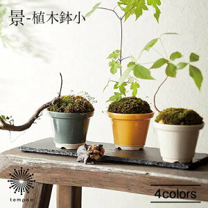 AITO i Aؔ ACg[ PC  ˏ ~ ϗtA A ~j ̂ЂTCY 킢 CeA G   Vv f CX^f Mtg v[g X}zBar