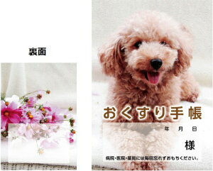 蒠@@gCv[h