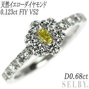 Vi Pt950 VRCeXCG[ _Ch O 0.123ct FIY VS2 D0.68ct yGXRz SELBY T[rX