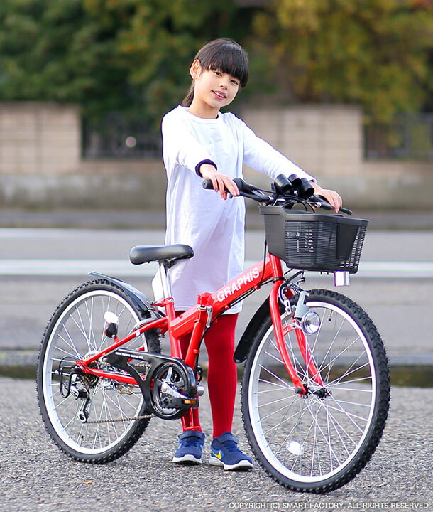 ラッシュアワーdx 22型 24型自転車