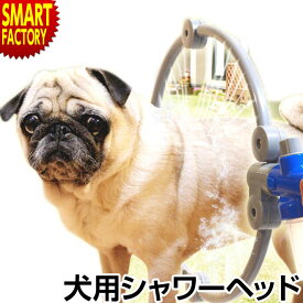 楽天市場 暑さ対策 犬の通販