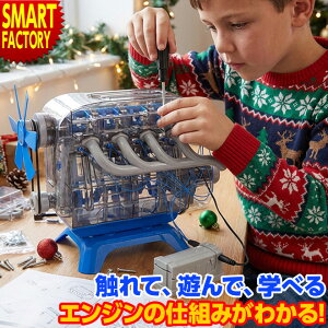  mߋ swTtt s悠t zr[  gݗ Discovery 4CGWfKIT m炨   GW pY q j̎q ̎q a j  