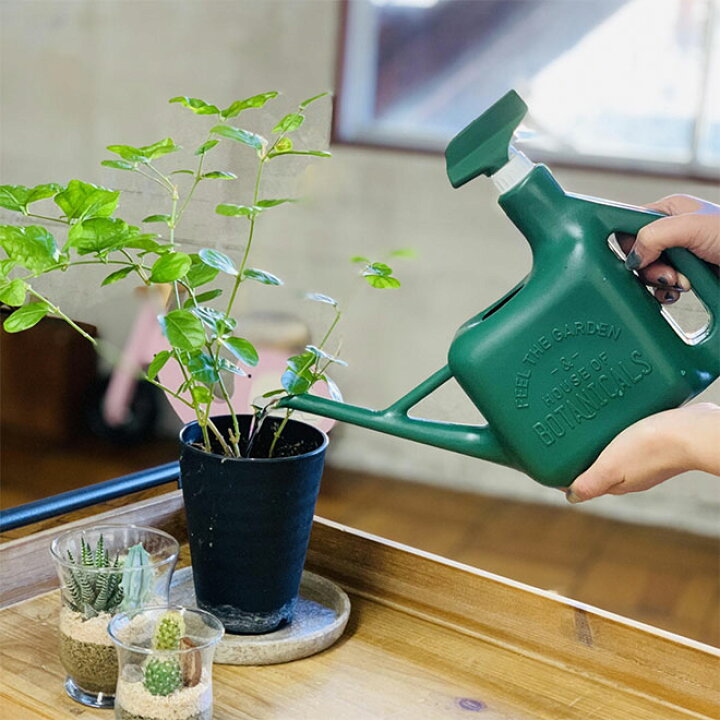 楽天市場 じょうろ おしゃれ かわいい ジョウロ 霧吹き スプレー 2way 1 6l 水差し 水やり 花 ガーデニング 園芸 家庭菜園 畑 植物 観葉植物 草 ジョーロ ガーデンジョーロ テラリウム オシャレ インテリア 雑貨 送料無料 母の日 父の日 プレゼント 自転車通販 楽天市場 じょうろ おしゃれ かわいい ジョウロ 霧吹き スプレー 2way 1 6l 水差し 水やり 花 ガーデニング 園芸 家庭菜園 畑 植物 観葉植物 草 ジョーロ ガーデンジョーロ テラリウム オシャレ インテリア 雑貨 送料無料 母の日 父の日 プレゼント 自転車通販