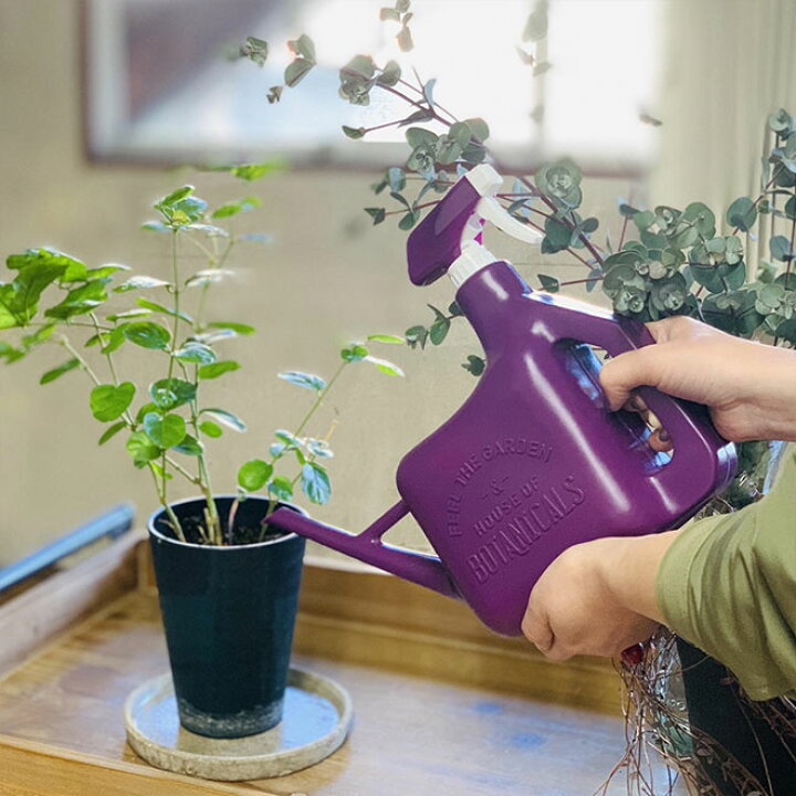 楽天市場 じょうろ おしゃれ かわいい ジョウロ 霧吹き スプレー 2way 1 6l 水差し 水やり 花 ガーデニング 園芸 家庭菜園 畑 植物 観葉植物 草 ジョーロ ガーデンジョーロ テラリウム オシャレ インテリア 雑貨 送料無料 自転車通販 スマートファクトリー 楽天市場 じょうろ おしゃれ かわいい ジョウロ 霧吹き スプレー 2way 1 6l 水差し 水やり 花 ガーデニング 園芸 家庭菜園 畑 植物 観葉植物 草 ジョーロ ガーデンジョーロ テラリウム オシャレ インテリア 雑貨 送料無料 自転車通販 スマートファクトリー
