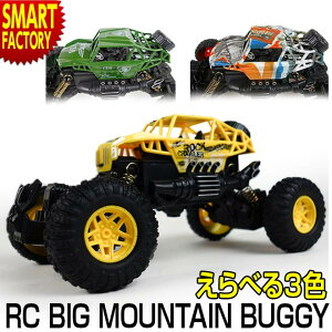 ラジコンカー 完成品の通販 価格比較 価格 Com