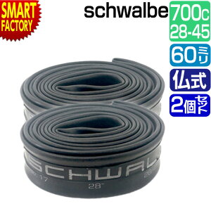 y20SiP4{`z ] `[u s2Zbgt 700C schwalbe  60mm 17SV-EL 700×28/45C FV Vx ]ԃ`[u TCNpi pNC ϋv [hoCN MTB   NX