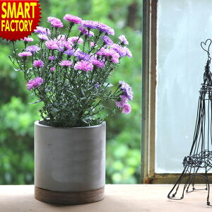 Aؔ  sȂ݌vt LTCY Zgv^[ Eh 󂯎Mt A ƒ؉ ϗtA SOW  v^[ K[f ~` eX CeA GNXeA 