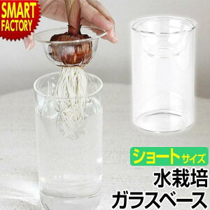 【30日限定P6倍〜】 鉢 ガラス鉢 花瓶 《水換え簡単》 ガラスベース クリア ショートサイズ フラワーベース 水栽培 球根栽培 植物 栽培 水 フラワー 花 卓上 誕生日 プレゼント 贈り物 BULB VASE