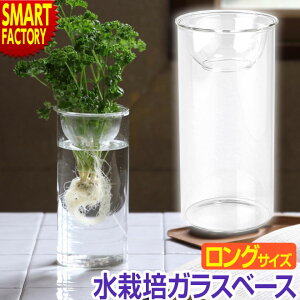 ͔| ԕr KXx[X KX NA OTCY KX|bg  t[   ϗtA CeA G a v[g Mtg BULB VASE   v[g Mtg M
