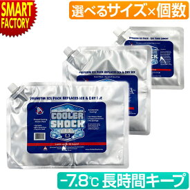 【11日限定全品P3倍〜】 保冷剤 クーラーショック 《選べる1個〜5個セット》 S M L 長時間 長持ち 強力 柔らかい COOLERSHOCK アイスパック ソフトタイプ 暑さ対策 クーラーボックス 海水浴 キャンプ バーベキュー 釣り お弁当 ☆ プレゼント ギフト 熱中症対策 猛暑 夏 梅