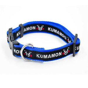 ݌Ɉ|Z[ ʌ yLEDCg܂tz   ̎ ֌ J[ p lC IVfUC hbOJ[  STCY iCf   