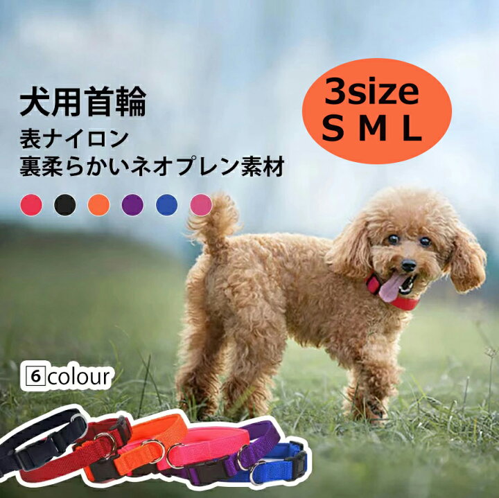 楽天市場 犬用首輪 柔らかい素材 首に優しい 首輪 大型犬 犬首輪ソフト いぬ ドッグ 小型犬 中型犬 やわらかい おしゃれ 軽 丈夫 首に優しい 犬 首輪 ソフト 可愛い 色鮮やか ナイロン ネオプレンソフト素材 小型犬 中型犬 サイズｓ M L 首周り約25 38cm 30 47cm 36