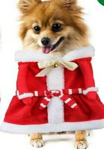  ݌Ɍ T^ ybg NX}X RXv ybg ϐg t[X T^ Y{ hX   hbOEFA  Mtg pi  U o  ybgEF