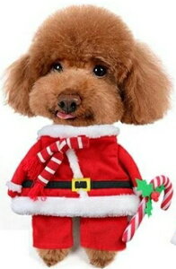  ݌Ɍ T^ ybg NX}X RXv ybg ϐg t[X T^ Y{ hX   hbOEFA  Mtg pi  U o  ybgEF