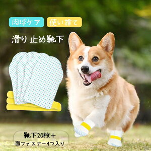 pC  C  C u[c V[Y ~  ~ [\bNX ĝ PA \h ^ ^ p  ی  PK p Up ɂ U 