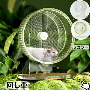 񂵎 nX^[ Pi AN  K ԗ É ybgpi nX^[pi jOzC[ ANX^h TCg x߉\ O[ zCg 