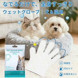 ウェット手袋 ペット用ウェット手袋 1袋6枚入り2袋セット アウトドア 犬用シャンプー 猫用 ノンアルコール ブラッシング シャンプー 犬猫兼用 清潔 ペットケア エチケット ウェットシート 掃除 ボディケア 散歩 汚れ落とし LUVP+K
