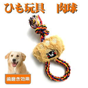  ݌Ɍ  ybg ʂ  ybg p ށE[vgC(hbOgCE[v) N}  CG[ bh F  S    Rbg