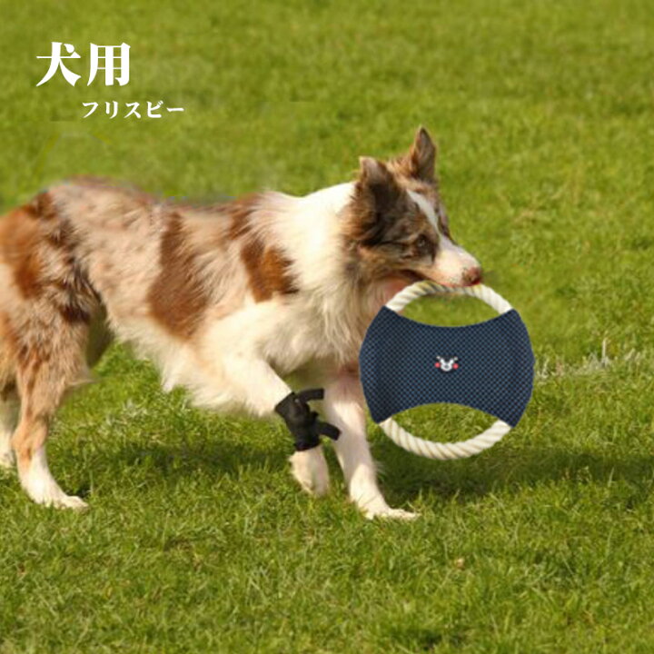 楽天市場 Off 楽天２冠達成 犬用フリスビー 犬用 投げるおもちゃ ストレス解消 運動不足解消 ロープ系 23 5x23 5cm くまモン 噛むおもちゃ 訓練おもちゃフリスビー 全犬種 イエロー グリーン レッド ブルー ペットおもちゃフリスビー 投げる 円盤 ロープ 遊び 小型犬