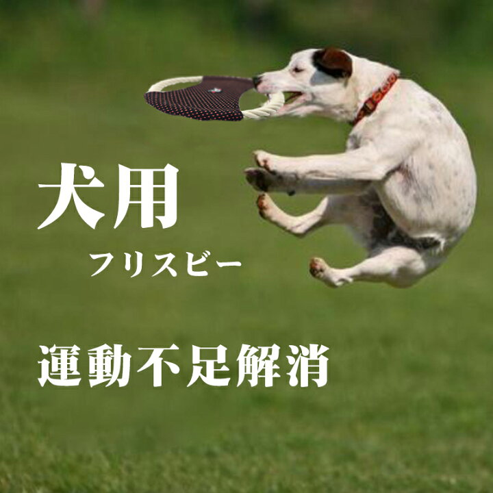 楽天市場 楽天6冠達成 犬用フリスビー 犬用 おもちゃ 投げる コットン ロープ製 犬用フリスビー 運動 軽量 訓練おもちゃ 遊ぶ ペット 4色 歯の健康 かわいい 可愛い 健康 お散歩 休日 愛犬 遊べる 公園 ソフト 運動不足解消 ストレス発散 公園遊び 小型犬 中型犬 大型犬