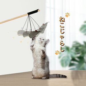 L炵 ˂炵 lR炵 lY~ t  I` XgX ^s Lpi LObY lRp ˂p ɂ jR LbgObY Lp L