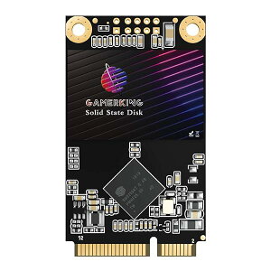 �y���������zGamerKing Msata SSD 64GB SATA III NEW 6Gb/s �����^ Solid State Drive �n�[�h�h���C�u �����\�n