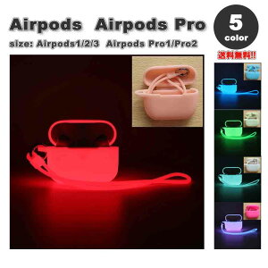 AirPods 1 / 2 / 3 / AirPods Pro 1 / 2 �G�A�[�|�b�Y �v�� �O���[�C���U�_�[�N �u�� �V���R�� �J�o�[ �P�[�X �S5�F ������� �����h�~ �����h�~ �y�� ���C�����X�[�d ��������